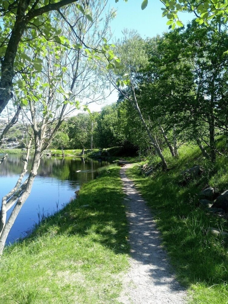 Photo 25