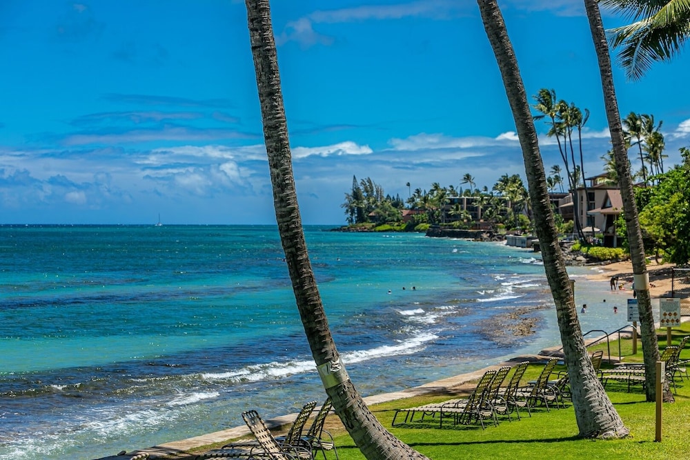 Paki Maui 103