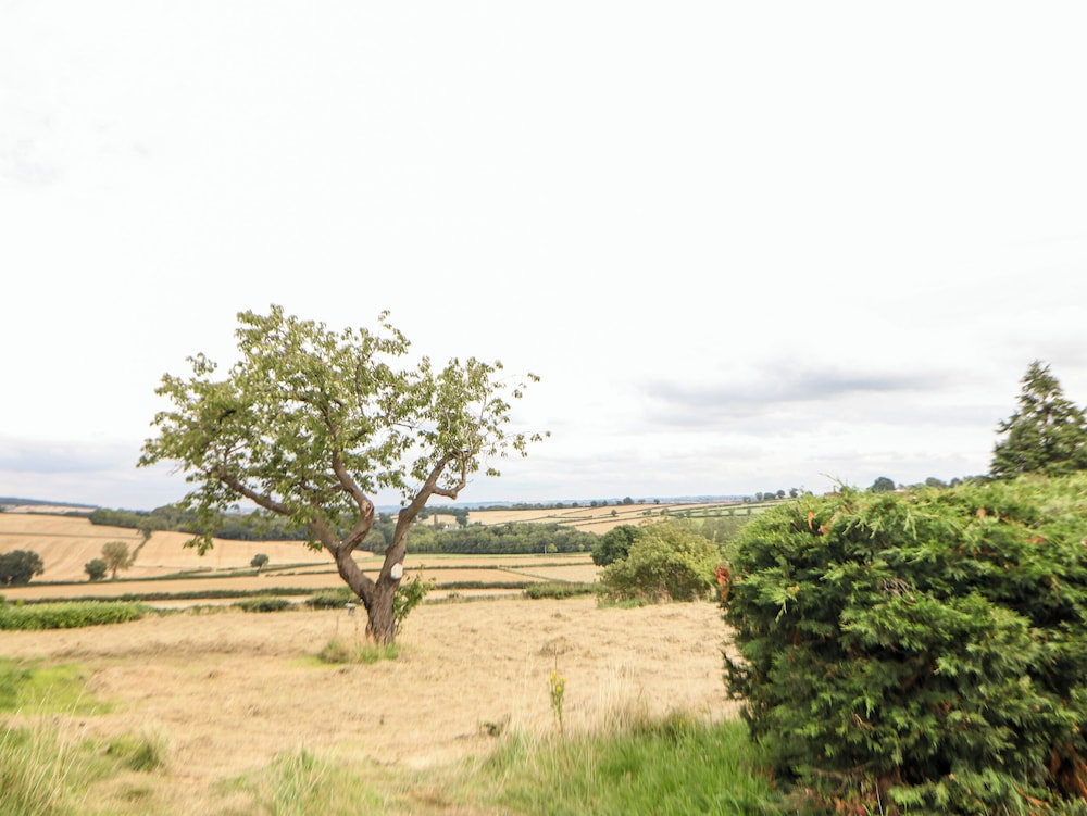 Smithy Cottage