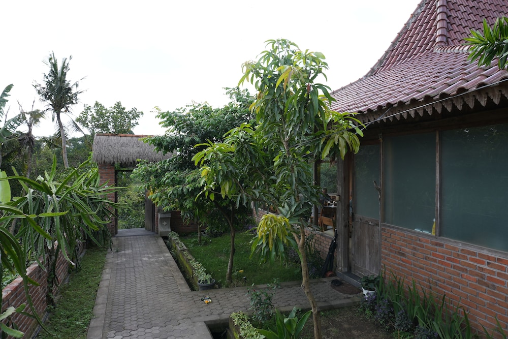 Nunu Bali Eco Friendly Retreat