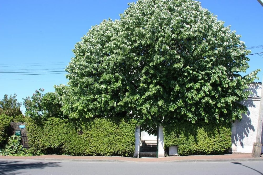 Photo 20