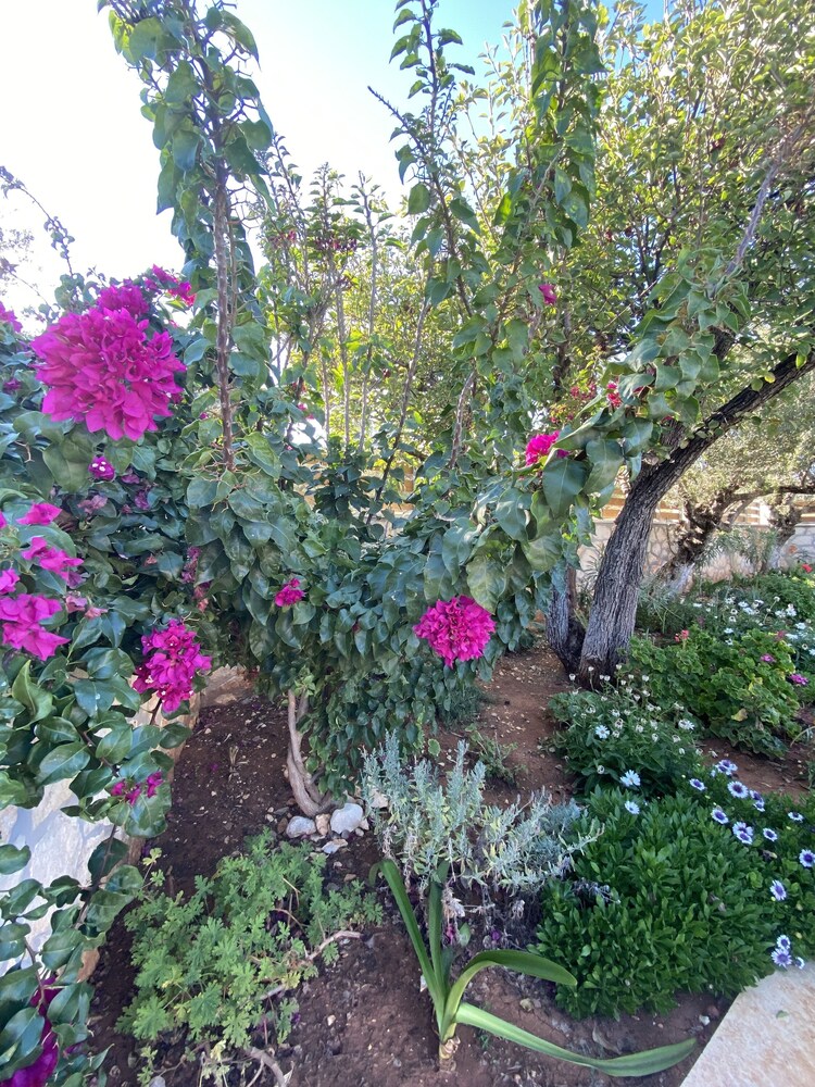 Photo 29