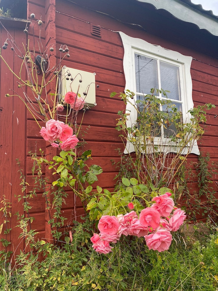 Hälluddens Stugby och Vandrarhem view 5