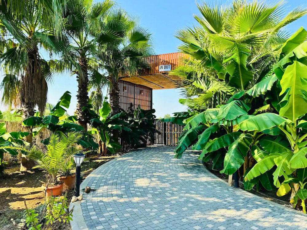 In Out Resort Glamping