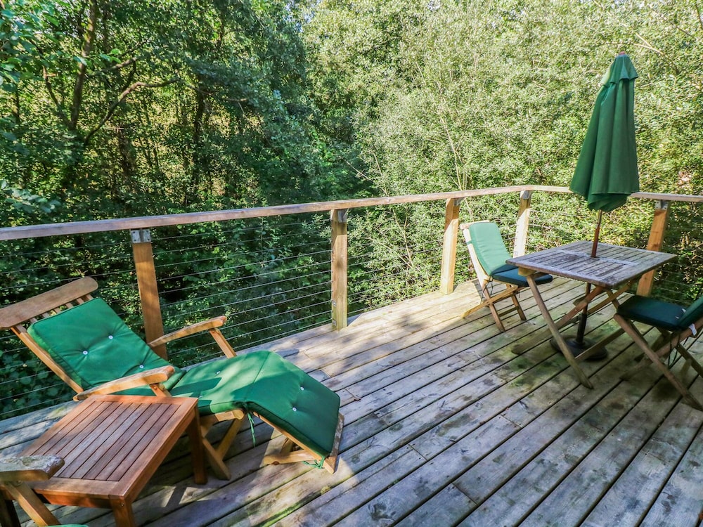 6 Streamside view 2