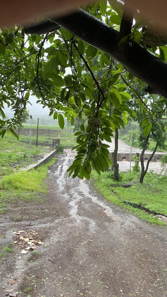 Growpure Luxury Farm & Nature Resort