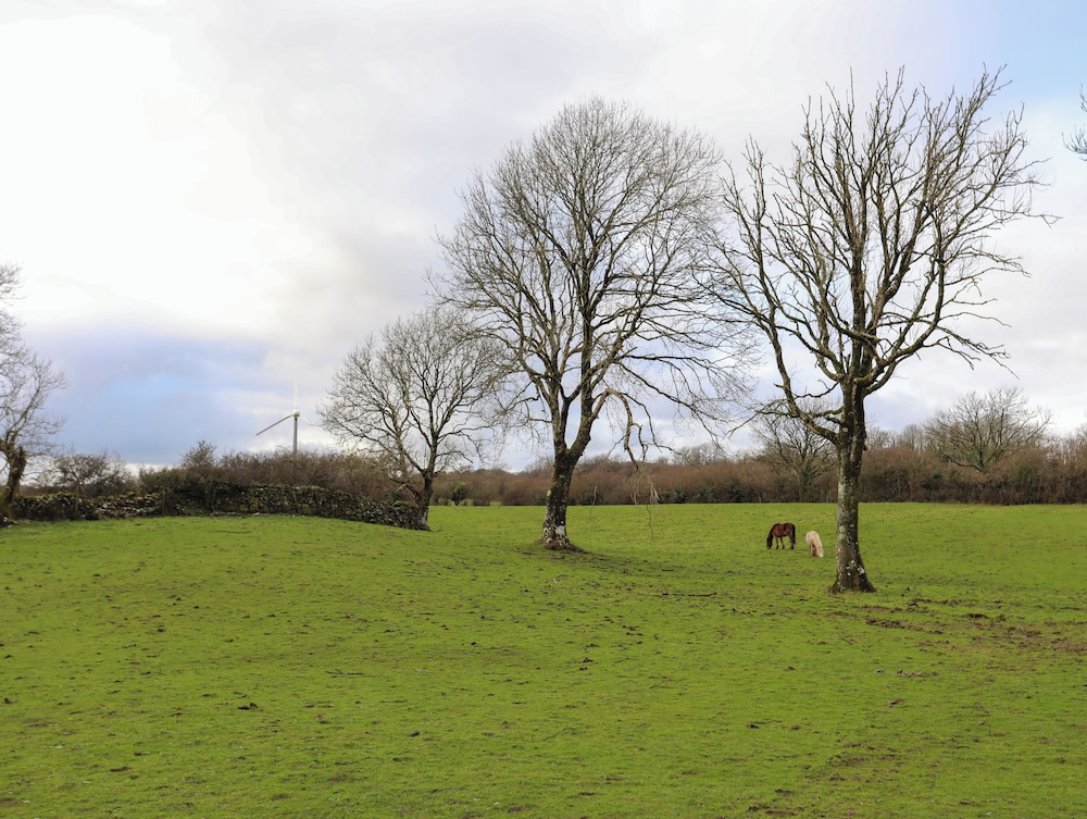Ynys Uchaf