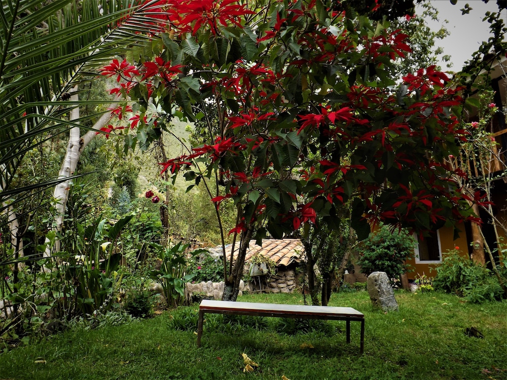 Photo 43