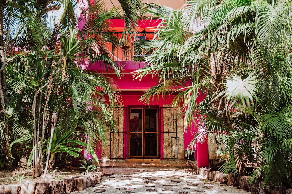 La Negrita Hotel - Adults Only