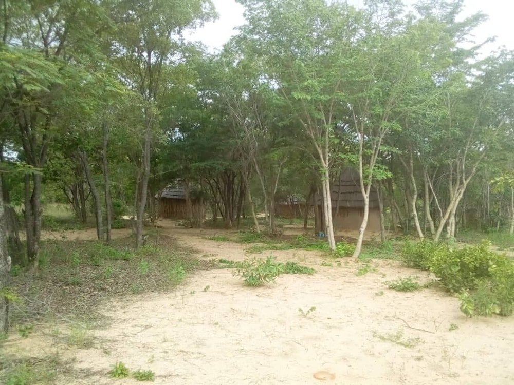 Dumisa African Home view 5