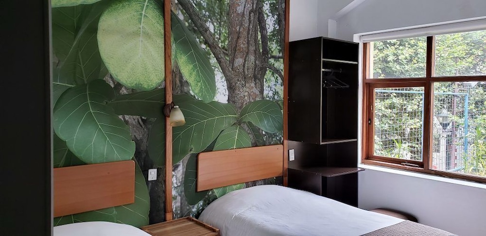Posada del Maple - Hostel