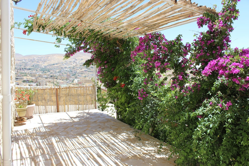 Petra Bed & Breakfast
