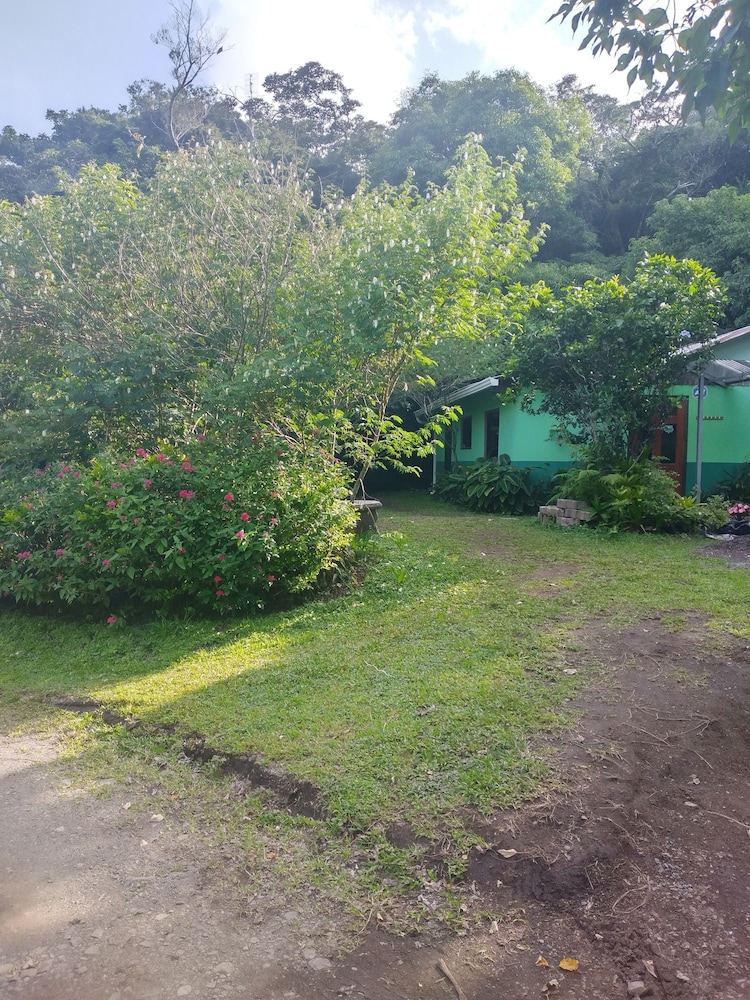 Photo 12