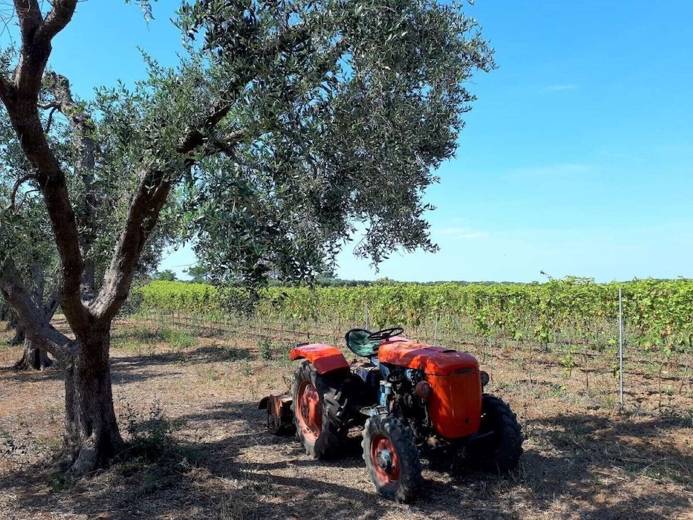 Masseria Costarella