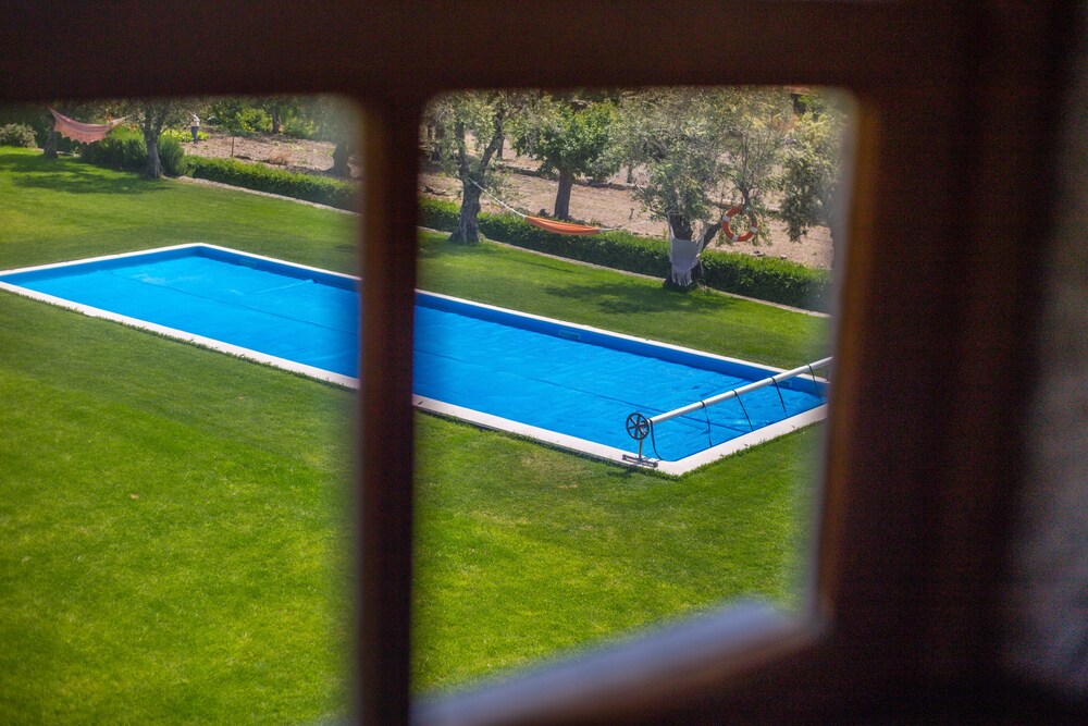Photo 51
