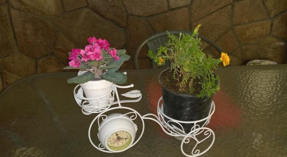 Bed & Breakfast BlumenHaus