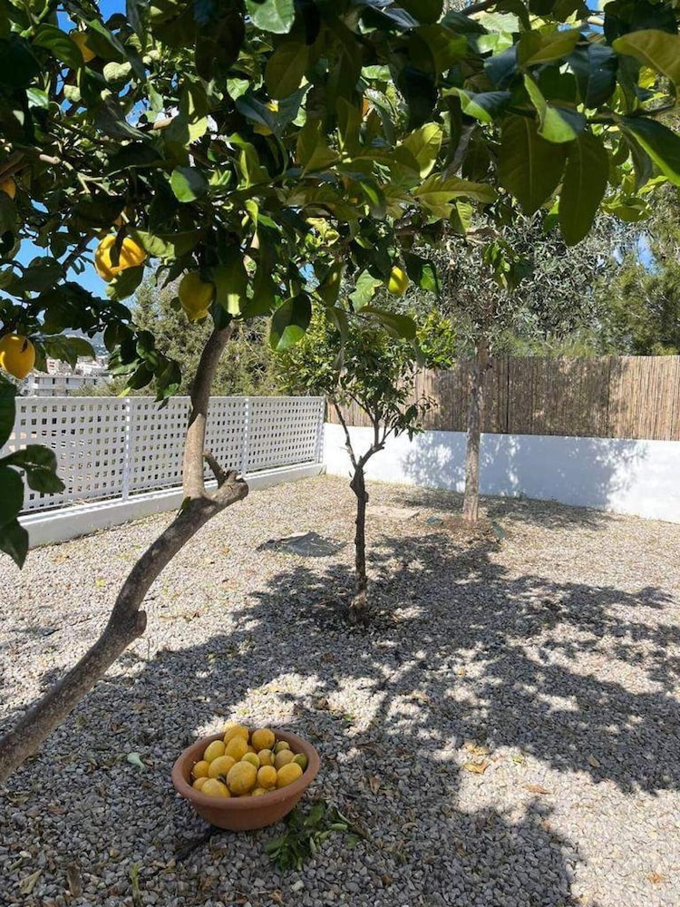 Ibiza Sunshine Hideaway