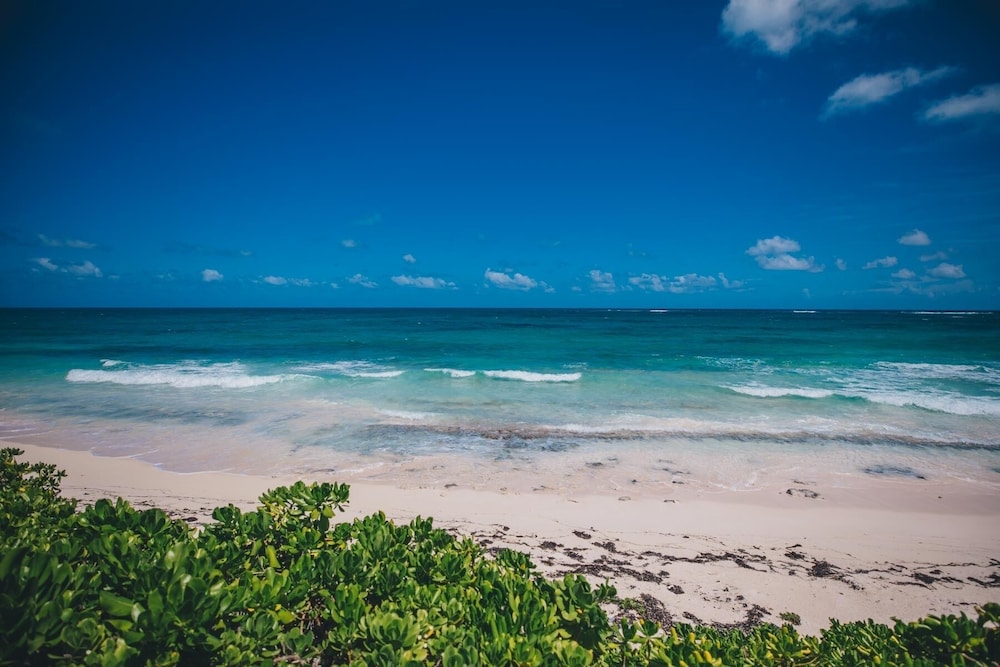 Pink Sand Cottage Cottage - Property Image 10