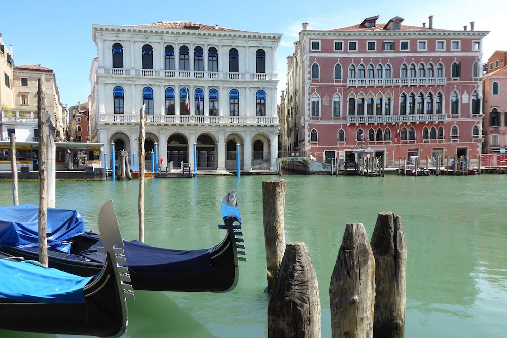 Venice Photobirding Nature And Culture