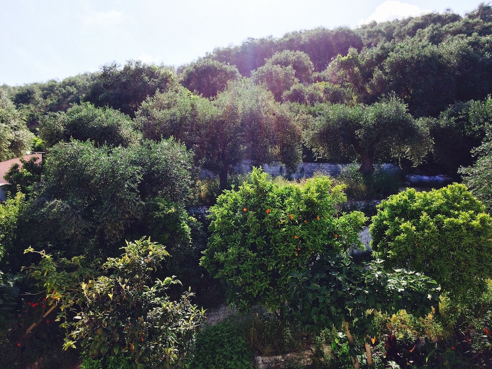 Avra Paradise Aparthotel