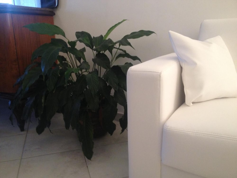 B&B via Roma suite
