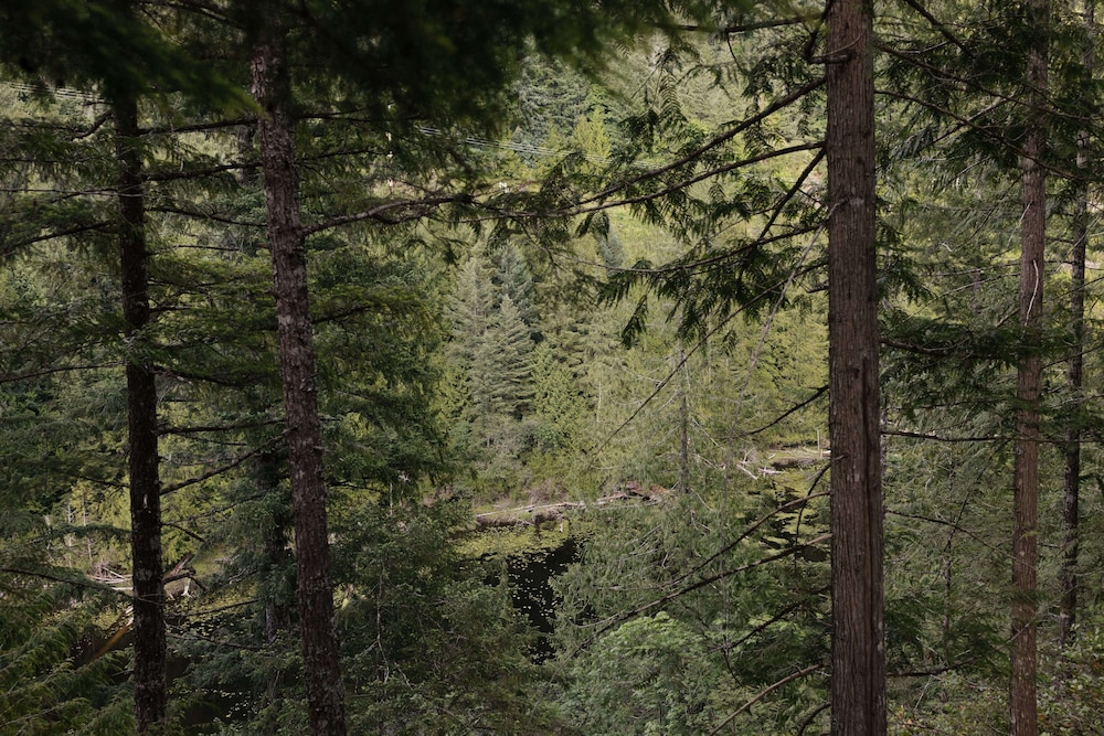 Ruby Lake Resort