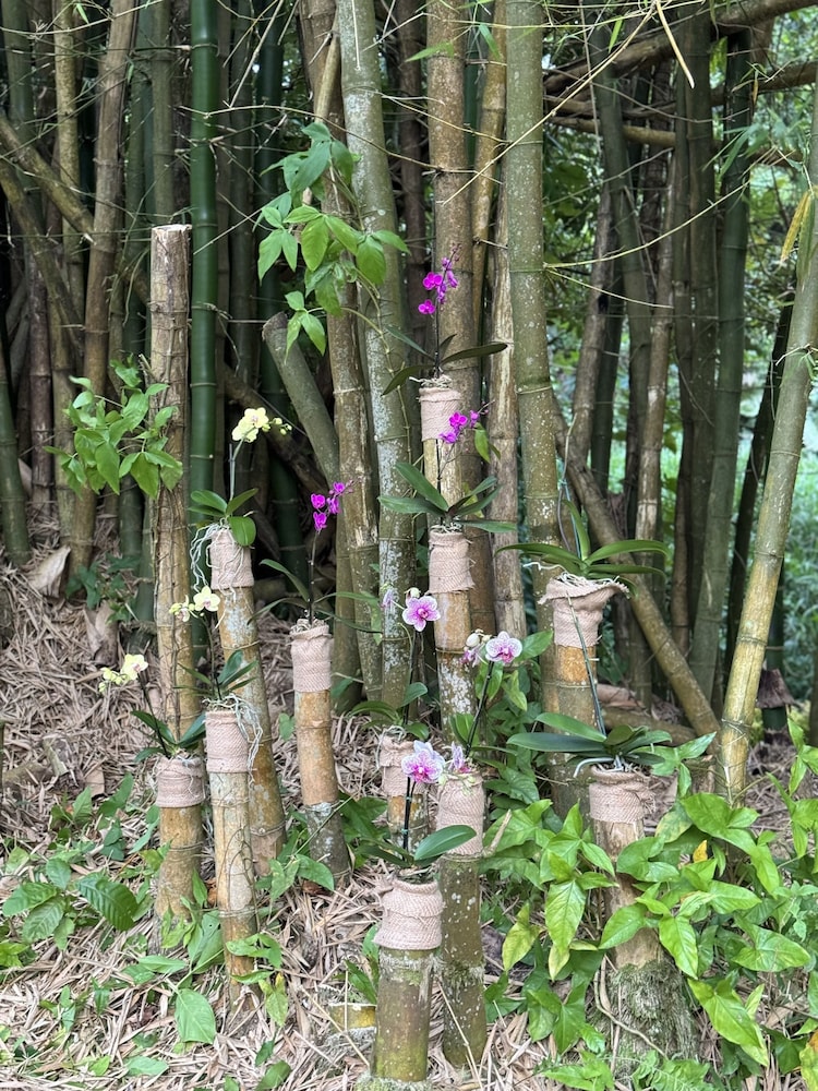 HACIENDA ILUMINADA ECO RETREAT