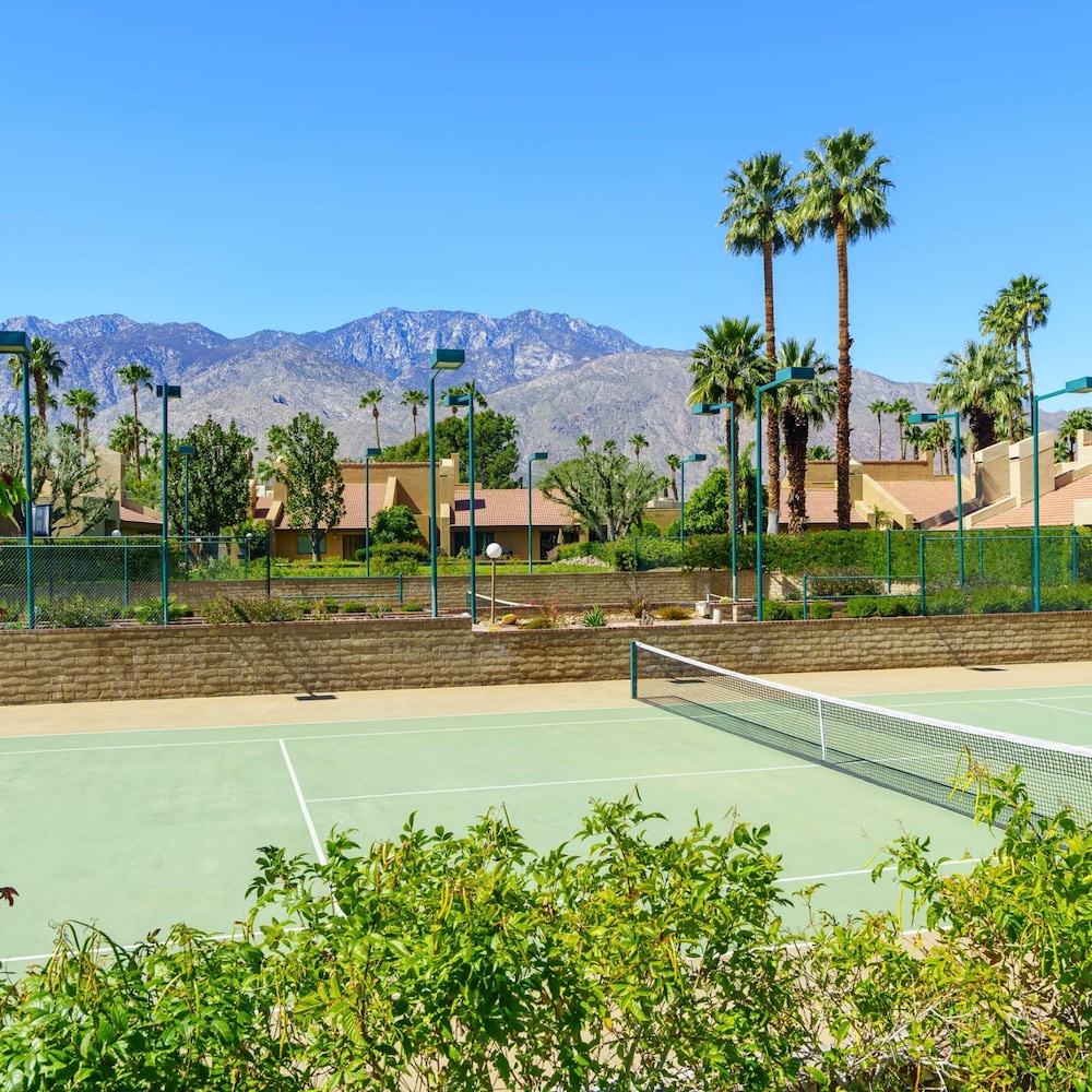Paradise at the Pointe