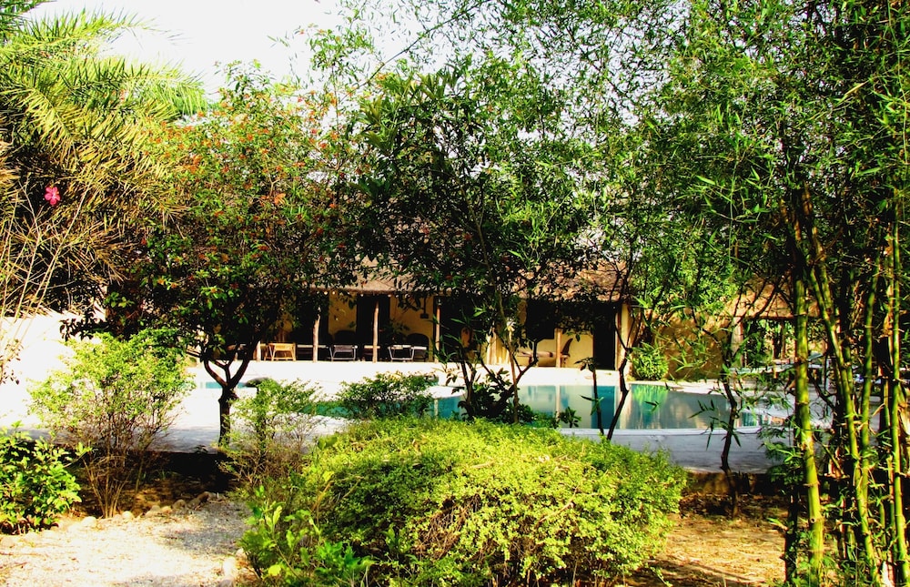 Jim's Jungle Retreat