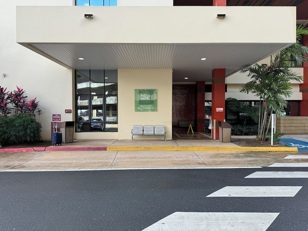 Ficus Hotel - Property Image 15