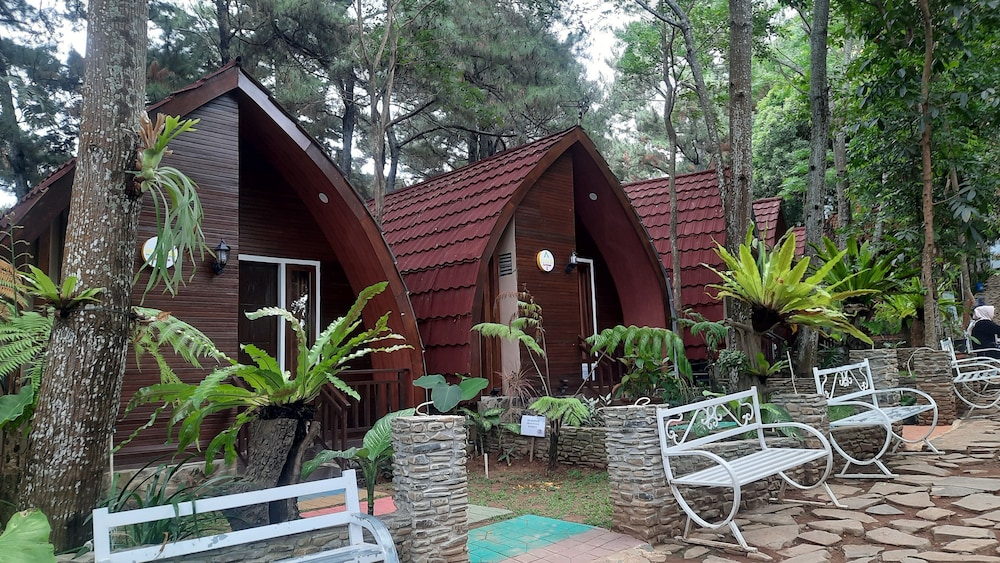 Pijar Resort Powered by Cocotel view 4