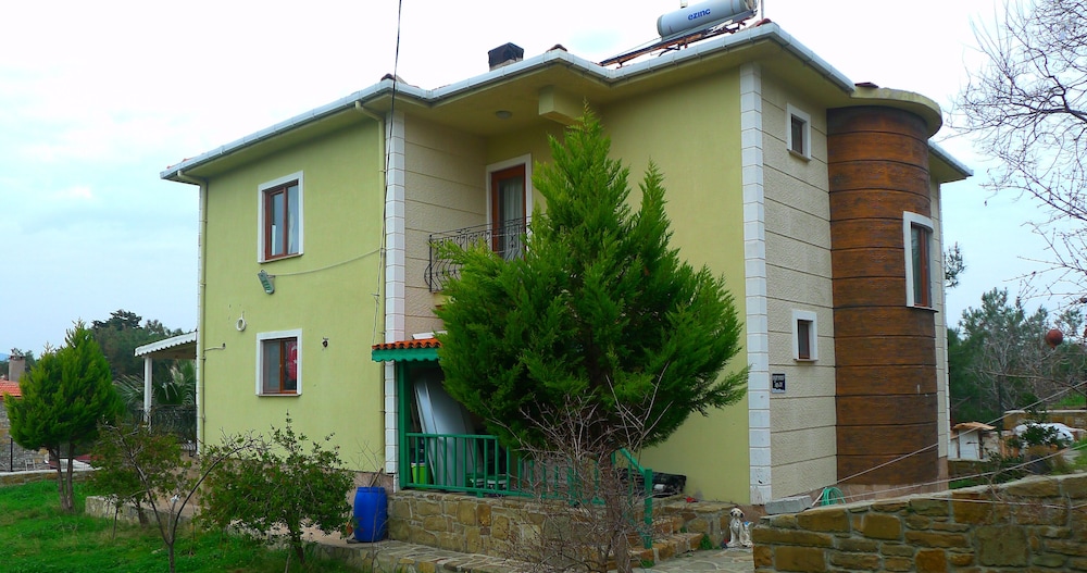 Photo 15