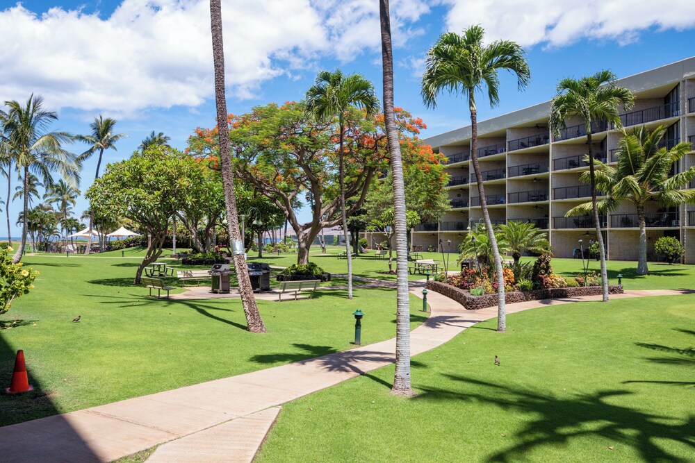 Romannas Golden Ray Oceanfront Condo