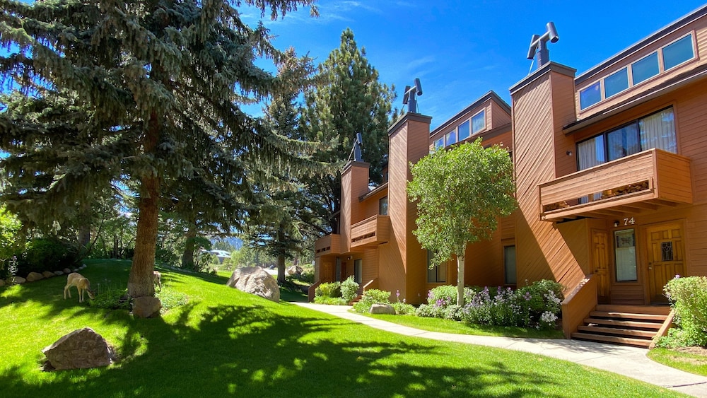Snowflower 74 Spacious Condo with Great Complex Amenities, On The Shuttle Route by RedAwning view 3