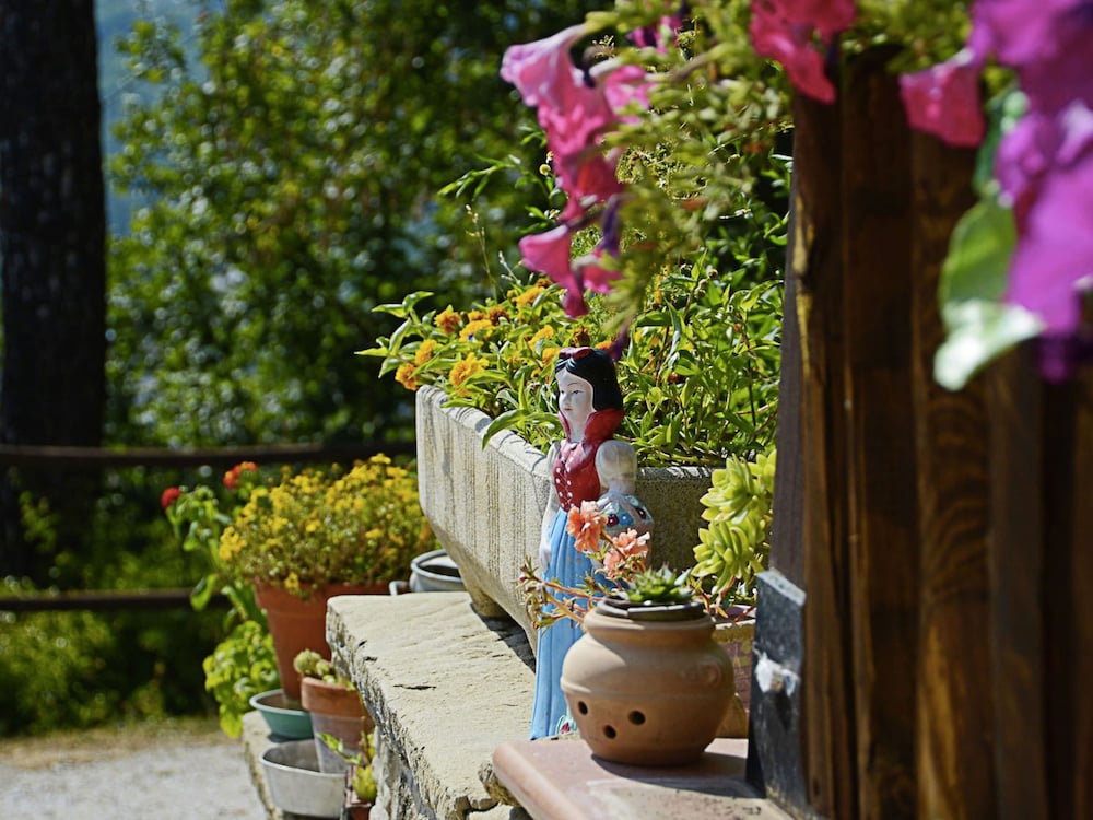 Cottage in Marche With Pool and Forest Views view 3