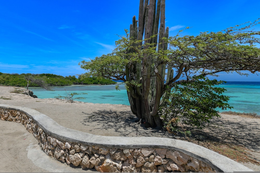 2 min Walk to Ocean - Mangel Halto Aruba