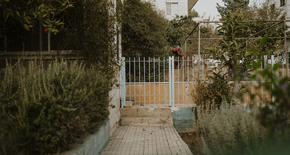 OliveTreeHostel, photo 45