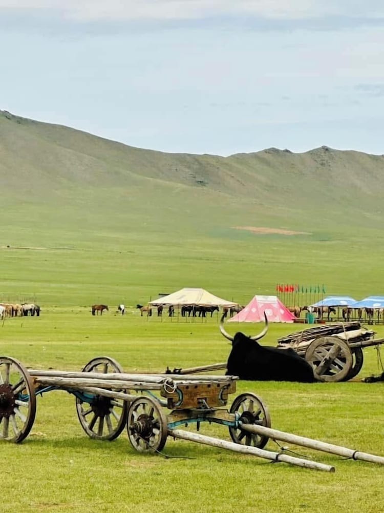 Mongol Nomadic Camp Resort