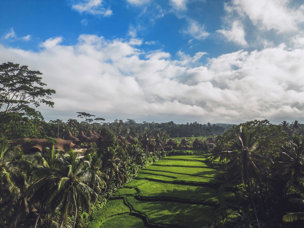 Equipoise Resort & Spa Ubud Managed by Ini Vie Hospitality