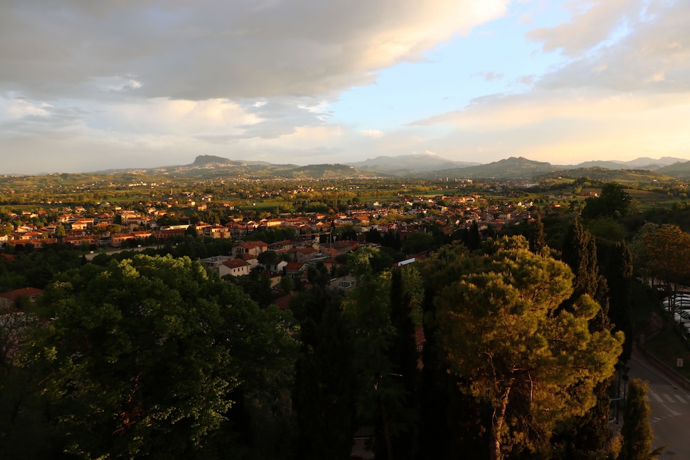 Photo 44