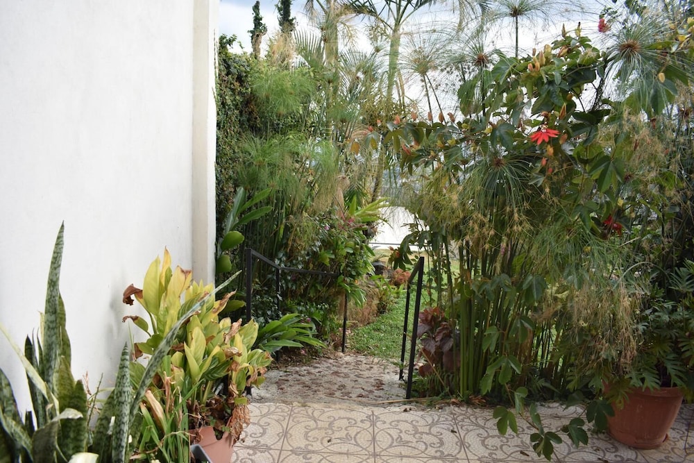 Photo 41