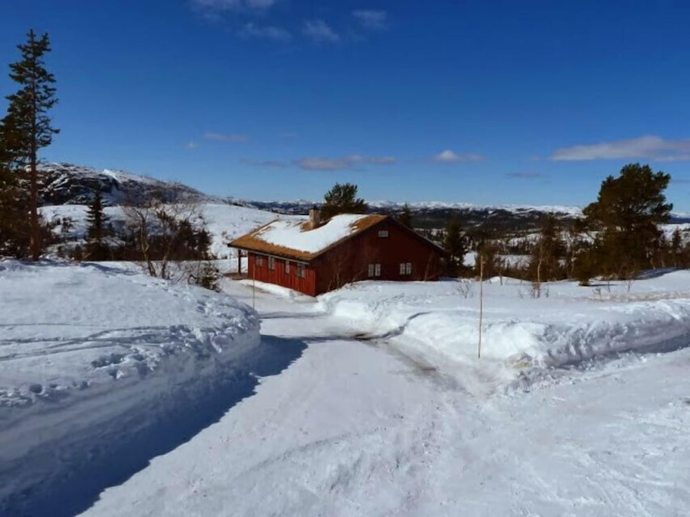 Furulie Cabin - Flå