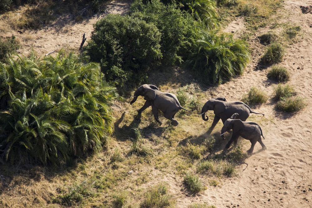 Nyati Safari Lodge
