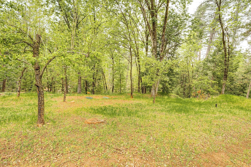 'hidden Valley Retreat' - Outdoorsy West Point Gem