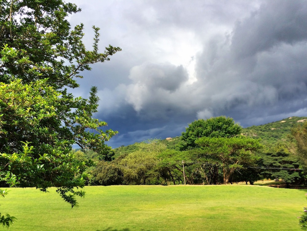 Near2Numbi
