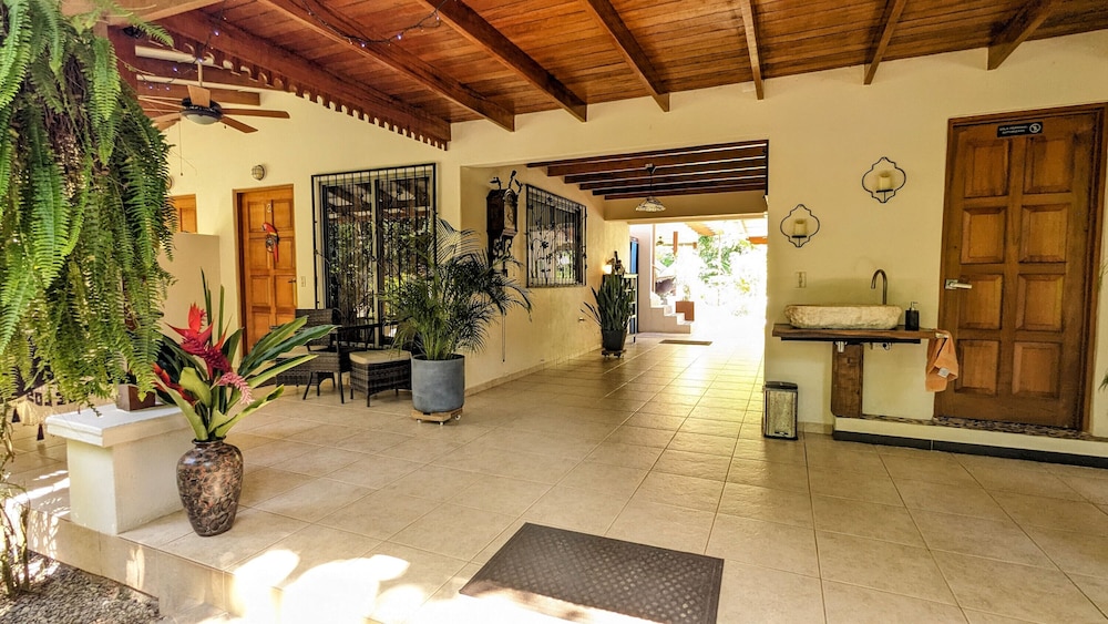 Jardin de los Monos