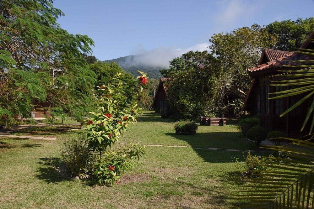 Photo 46