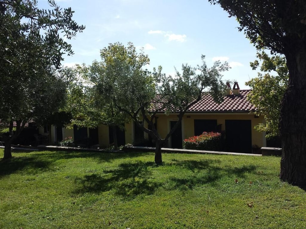 Photo 33