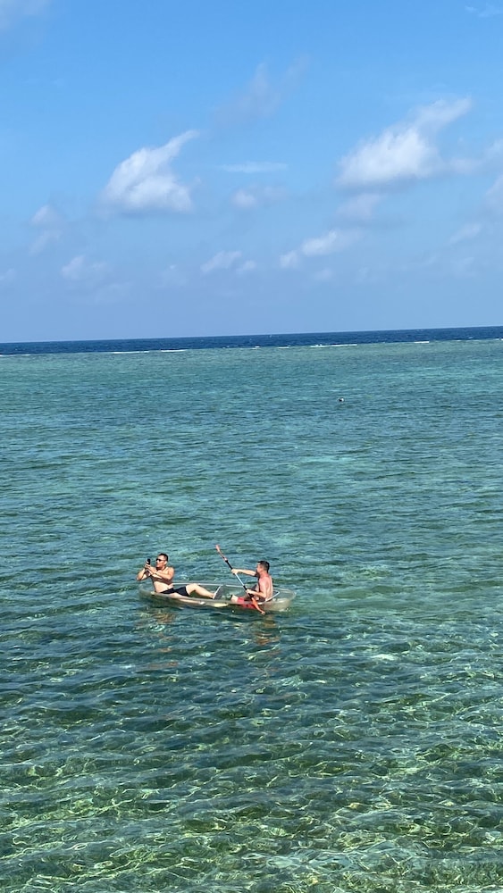 Amina Holidays