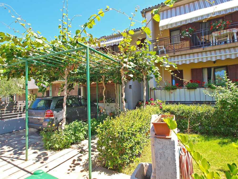 Photo 11